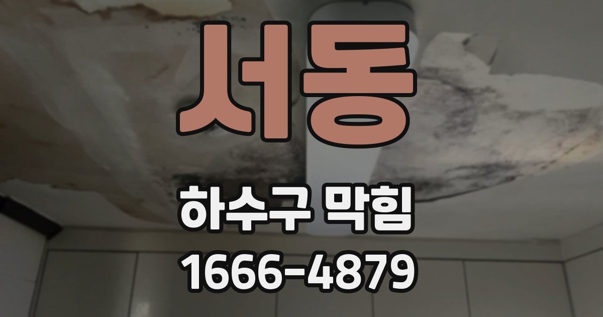 서동 하수구 막힘