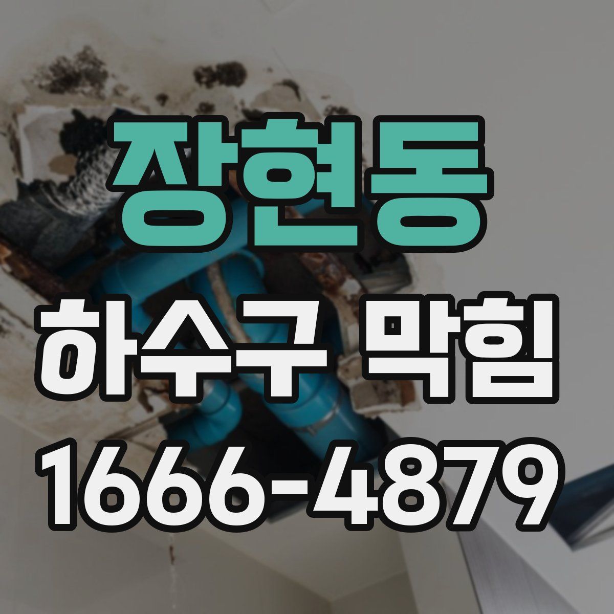 장현동 하수구 막힘