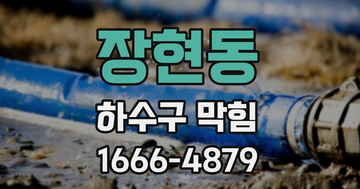 장현동 하수구 막힘