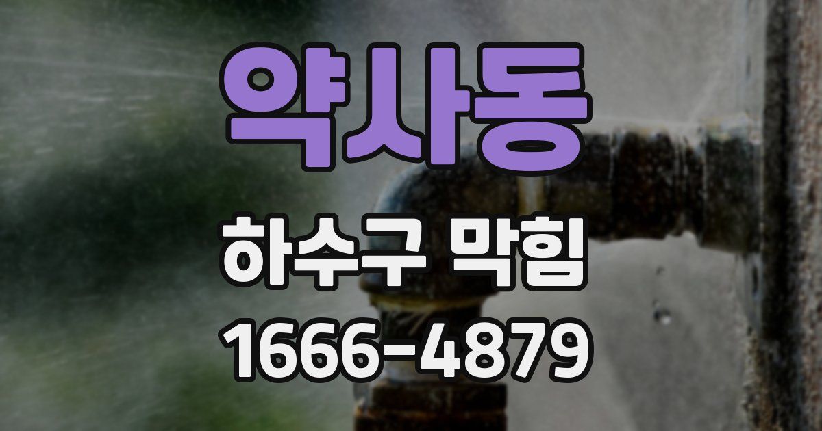 약사동 하수구 막힘