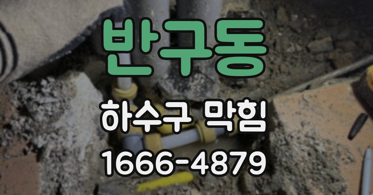 반구동 하수구 막힘