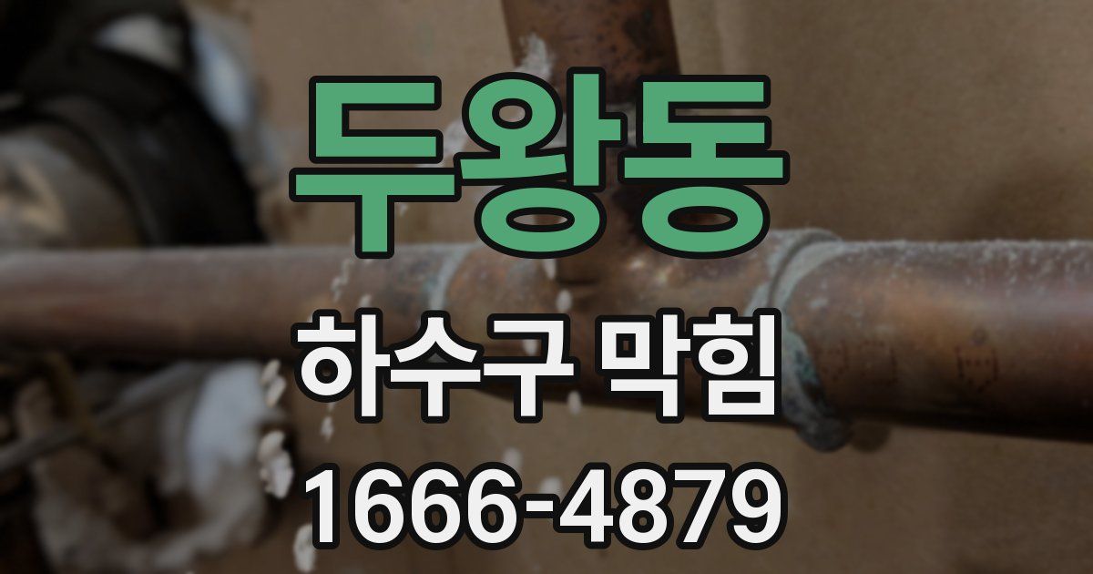 두왕동 하수구 막힘