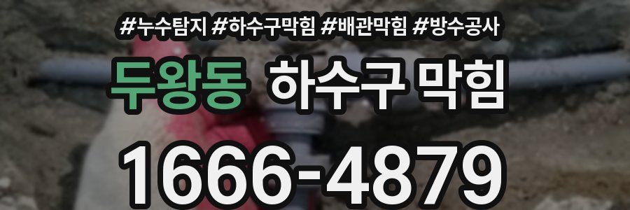 두왕동 하수구 막힘