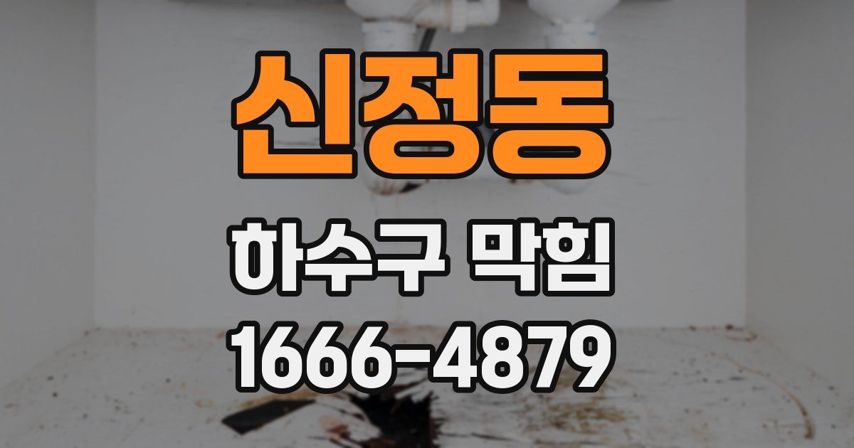 신정동 하수구 막힘