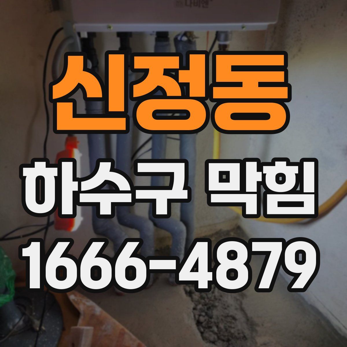 신정동 하수구 막힘