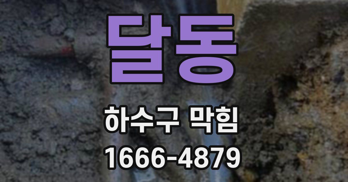 달동 하수구 막힘