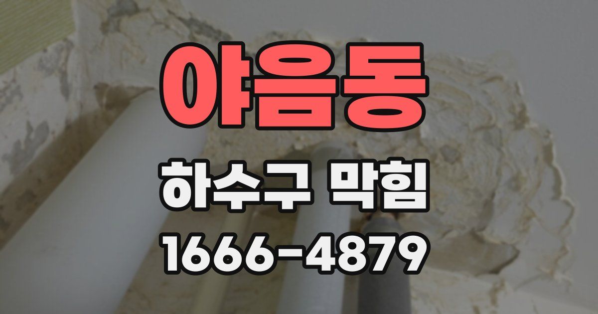 야음동 하수구 막힘