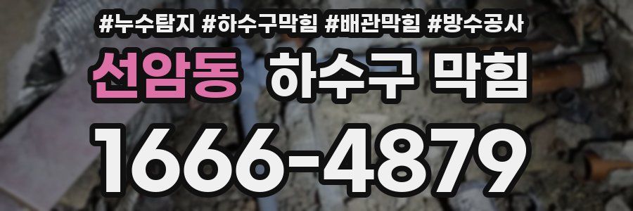 선암동 하수구 막힘