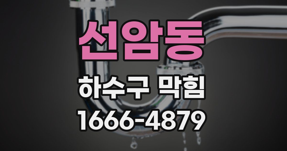 선암동 하수구 막힘