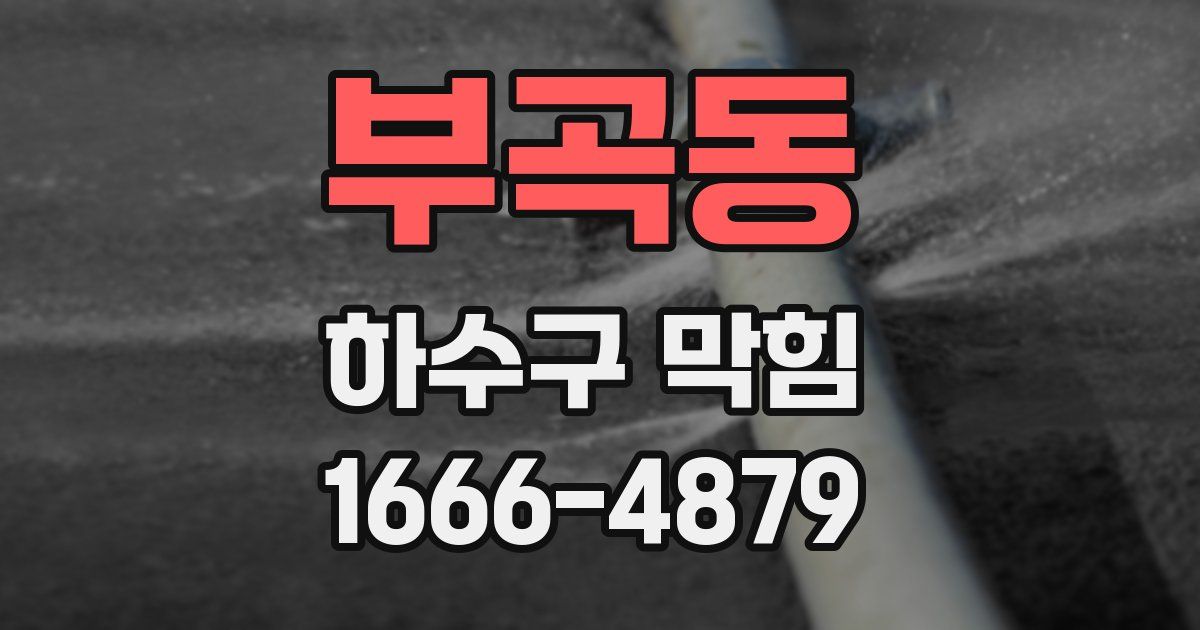 부곡동 하수구 막힘