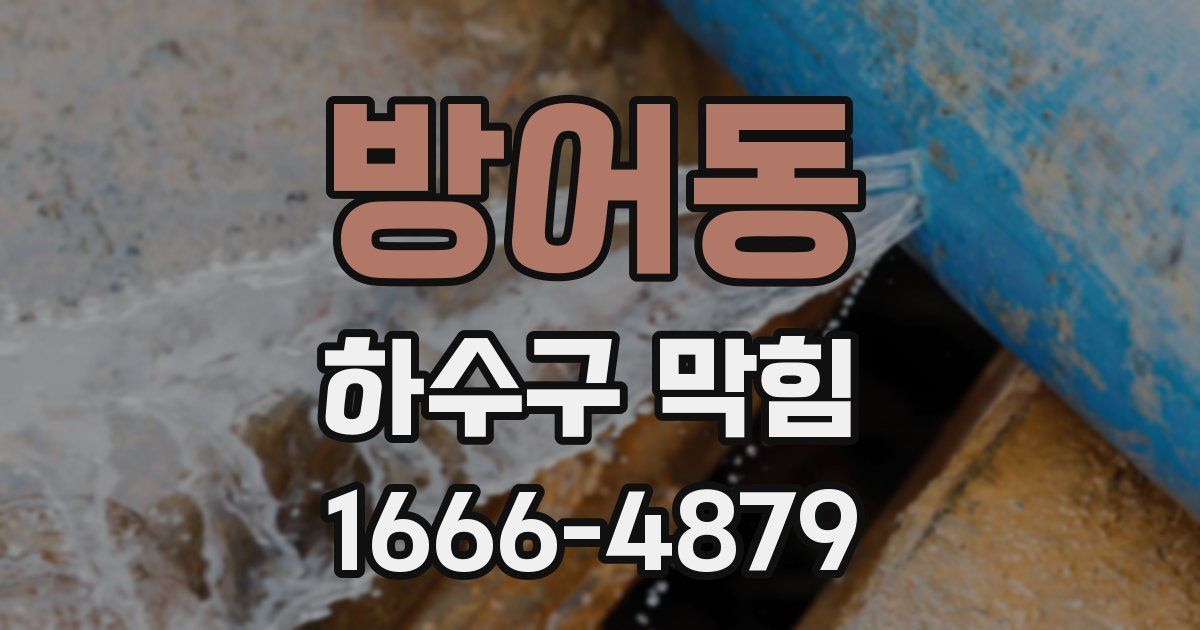 방어동 하수구 막힘