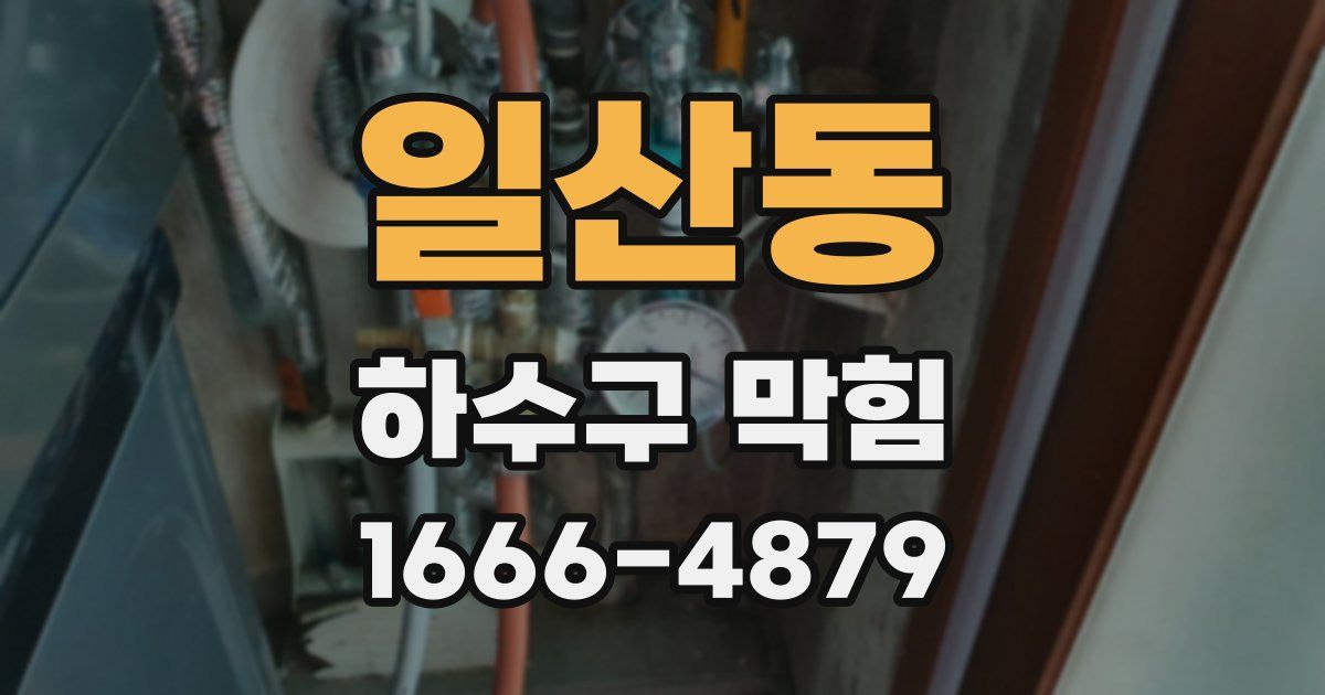 일산동 하수구 막힘