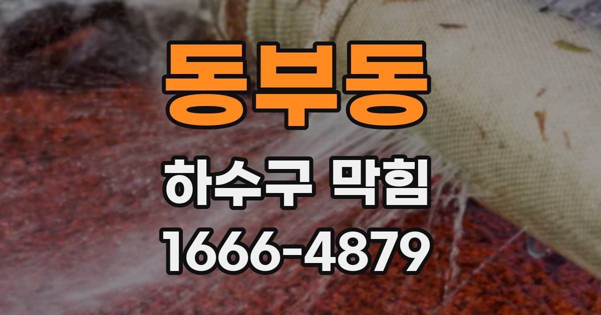 동부동 하수구 막힘