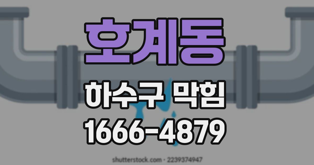 호계동 하수구 막힘