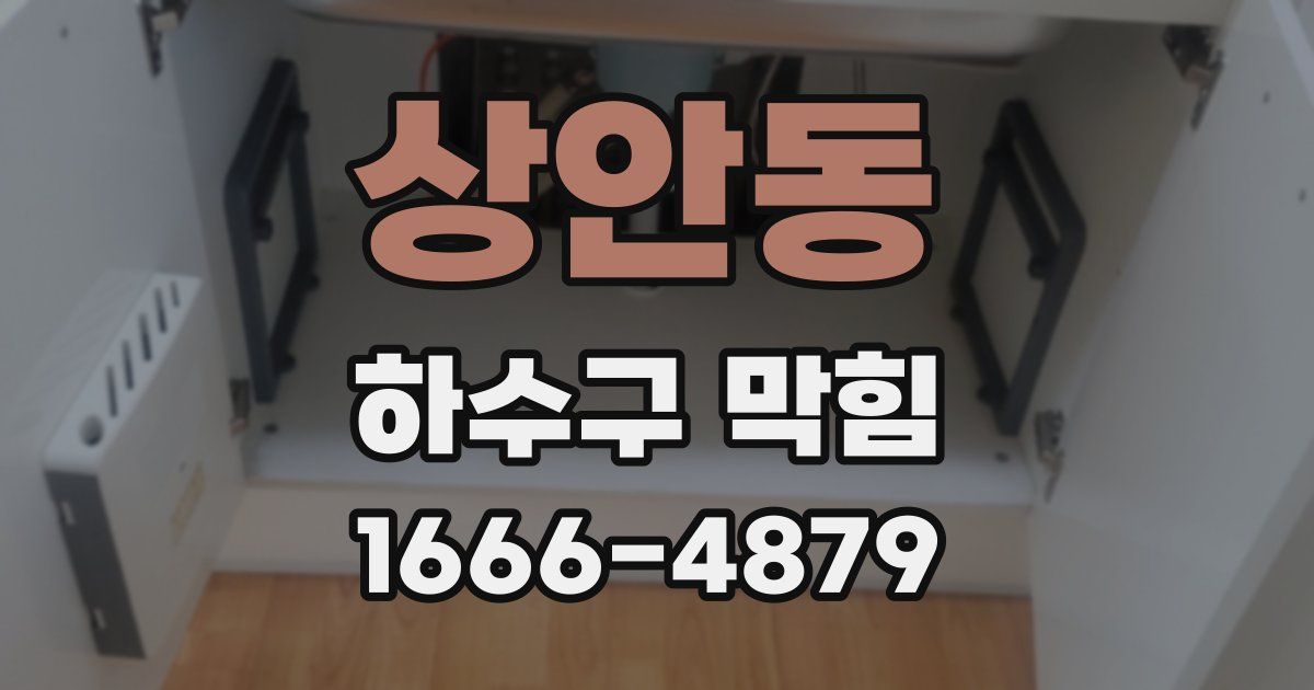 상안동 하수구 막힘