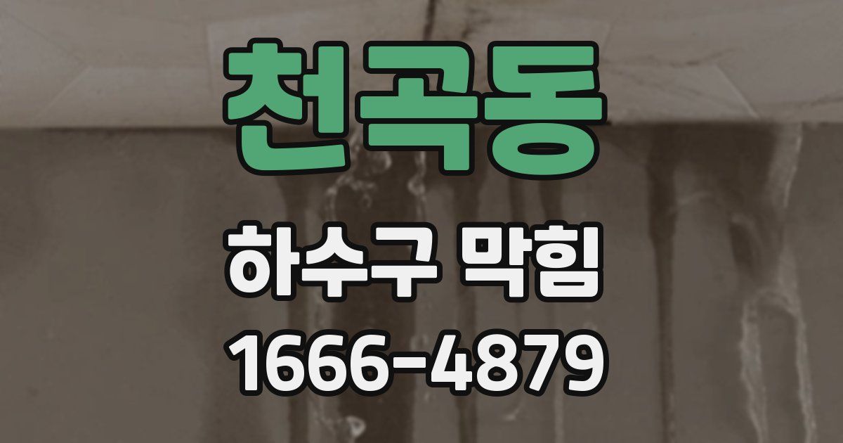 천곡동 하수구 막힘