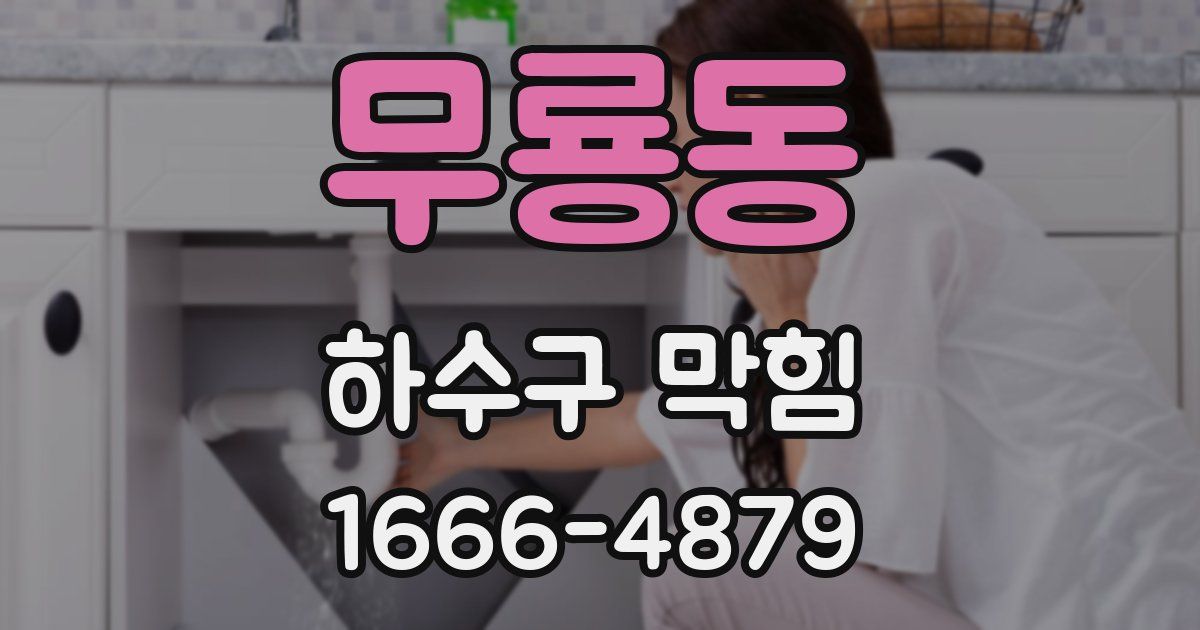무룡동 하수구 막힘