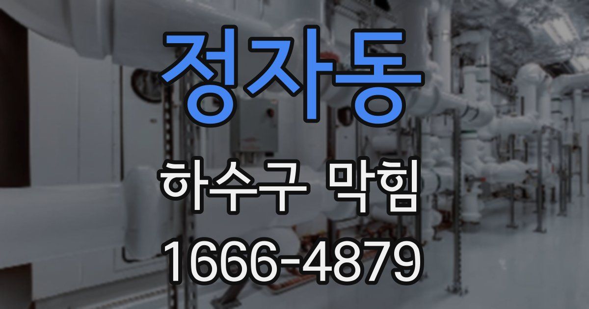 정자동 하수구 막힘