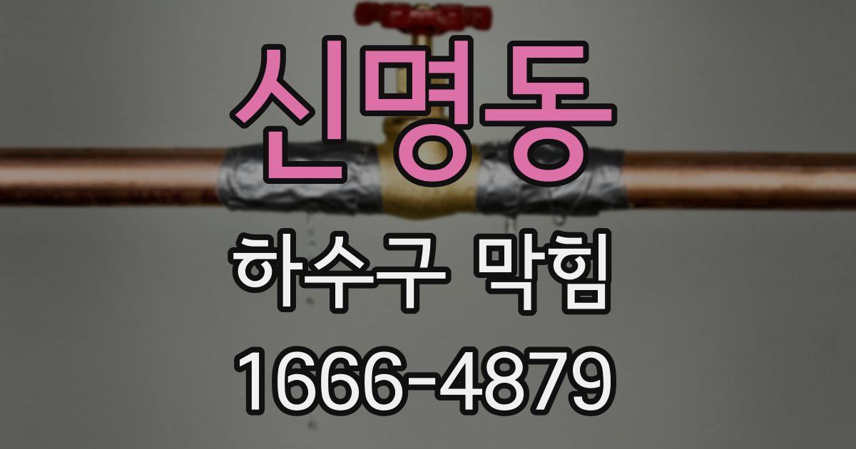 신명동 하수구 막힘