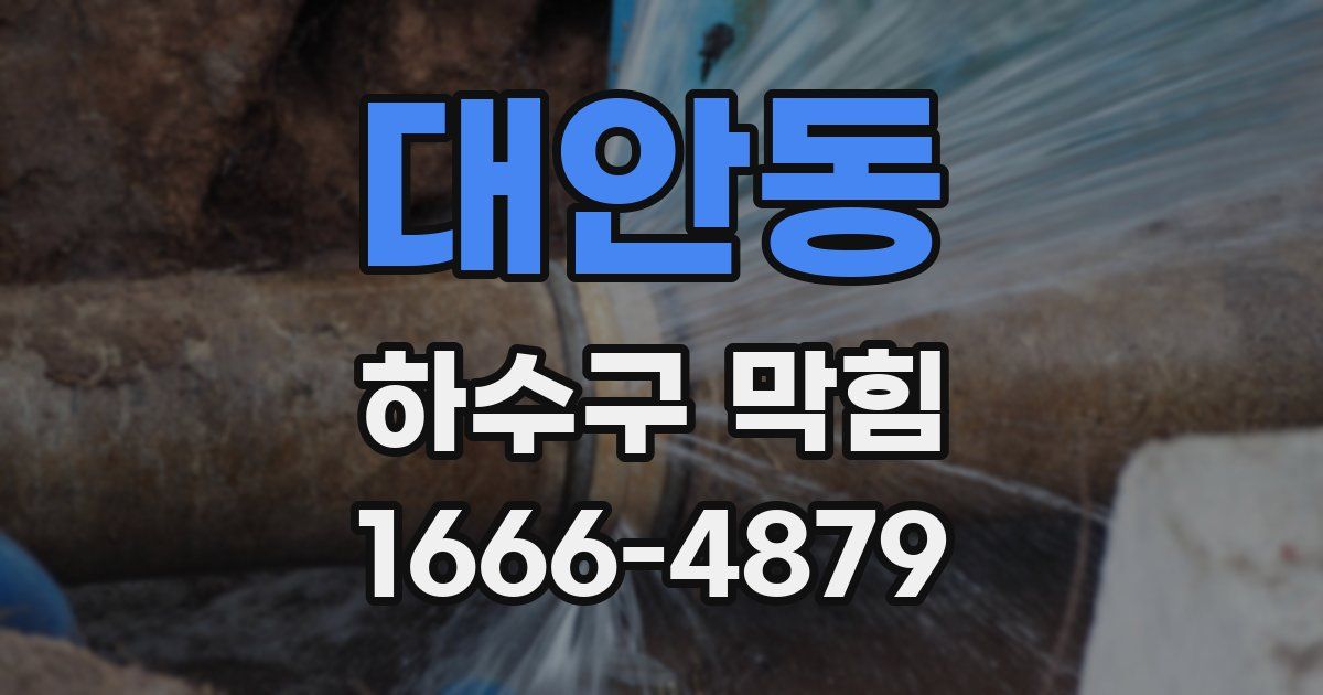 대안동 하수구 막힘