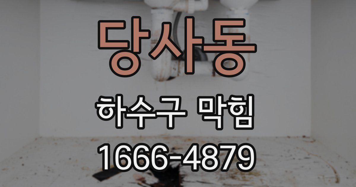 당사동 하수구 막힘