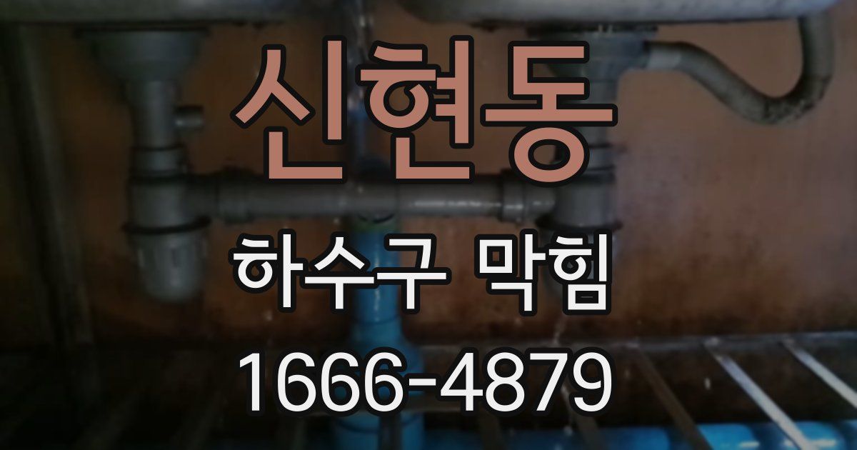 신현동 하수구 막힘