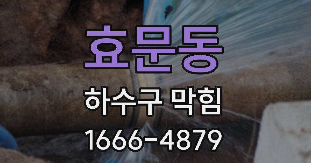 효문동 하수구 막힘