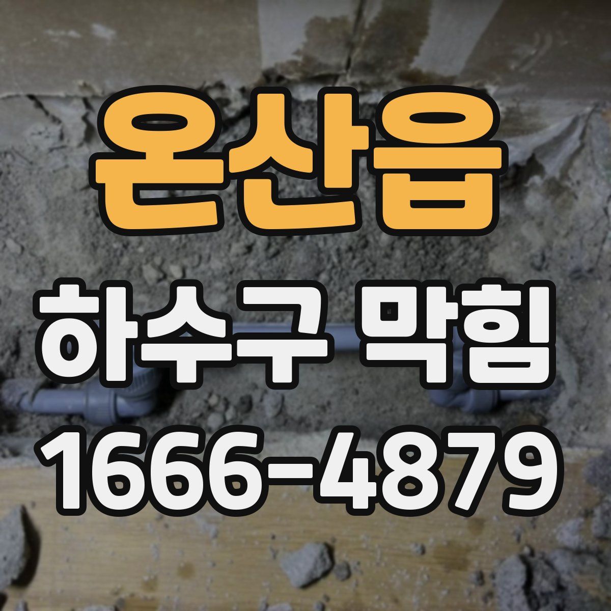 온산읍 하수구 막힘