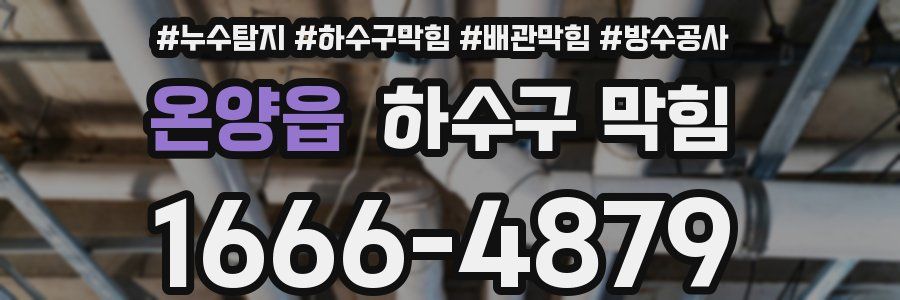 온양읍 하수구 막힘