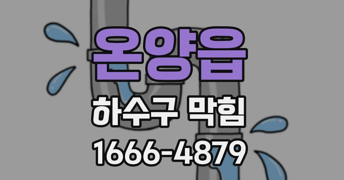 온양읍 하수구 막힘