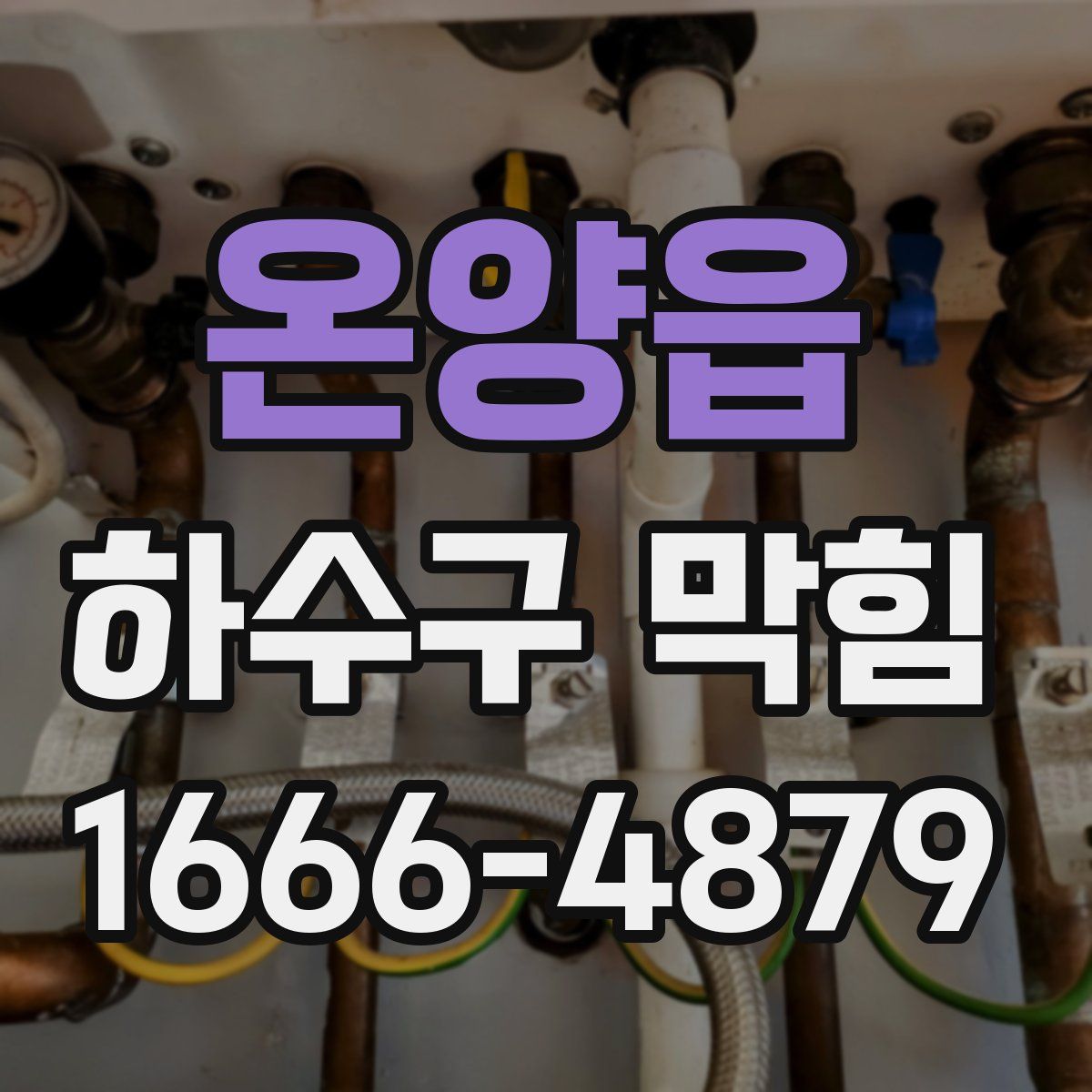온양읍 하수구 막힘