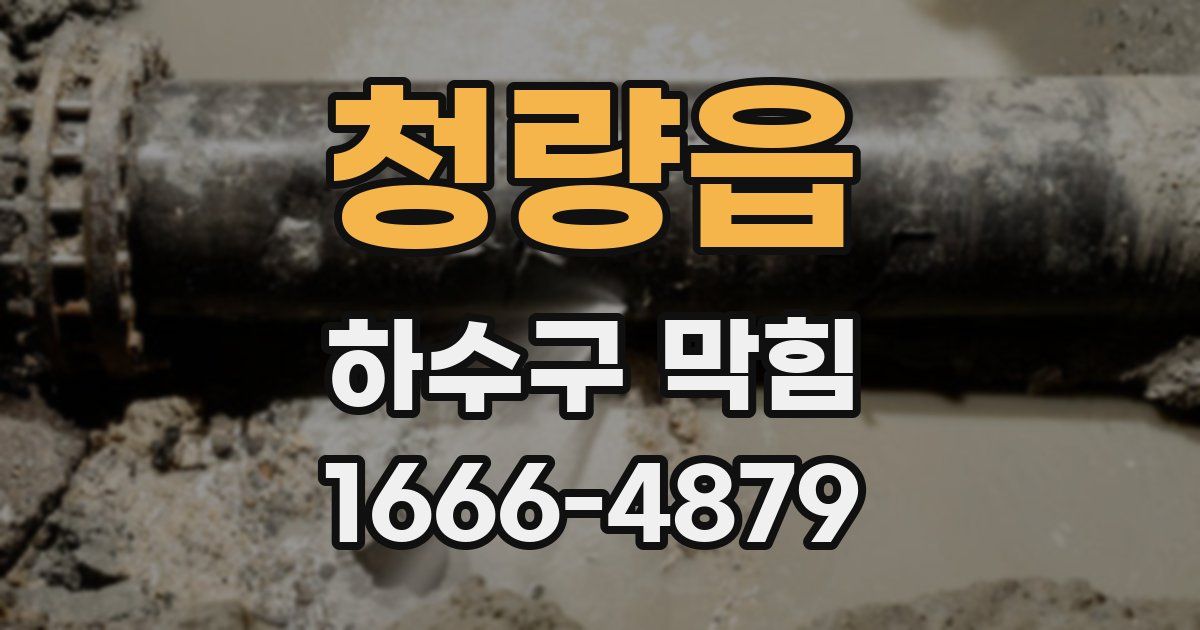 청량읍 하수구 막힘