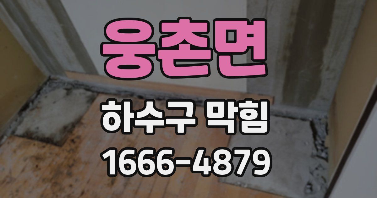 웅촌면 하수구 막힘