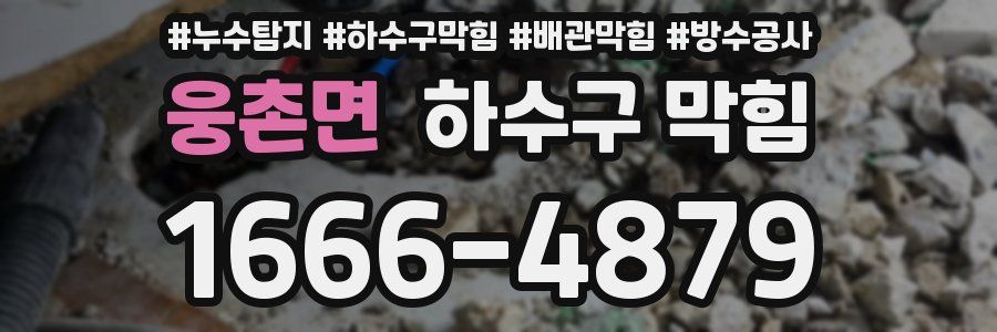 웅촌면 하수구 막힘