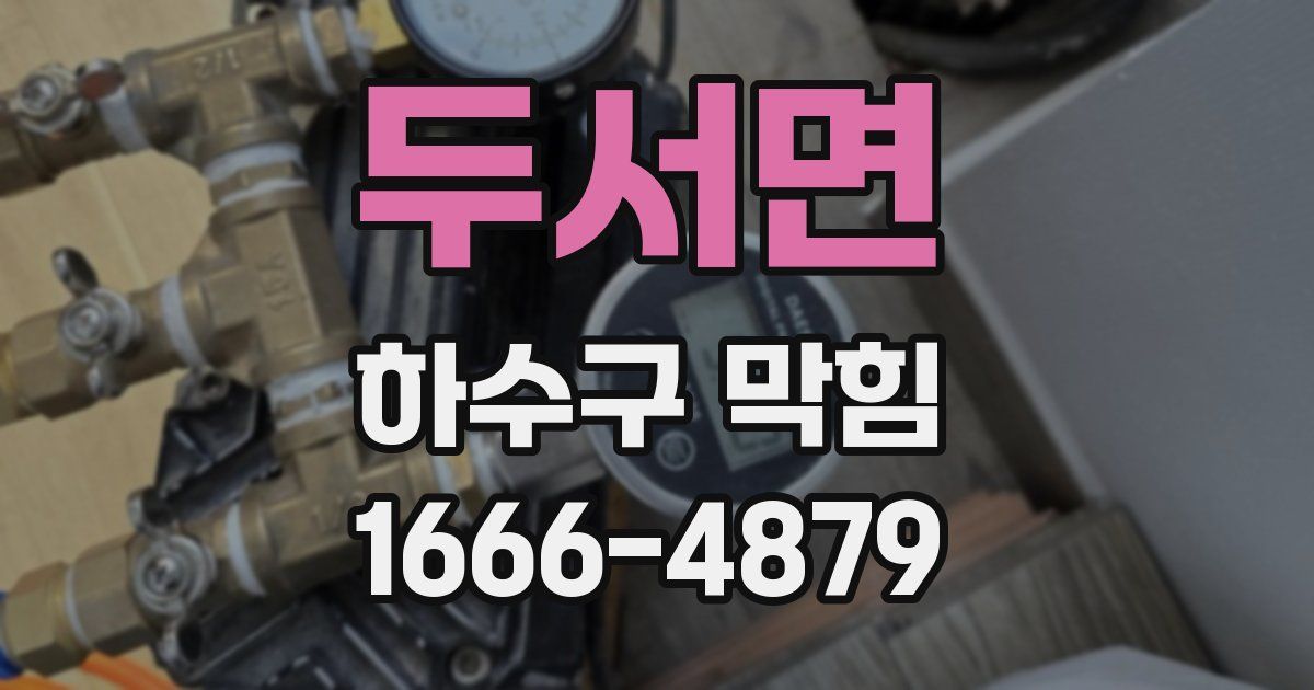 두서면 하수구 막힘