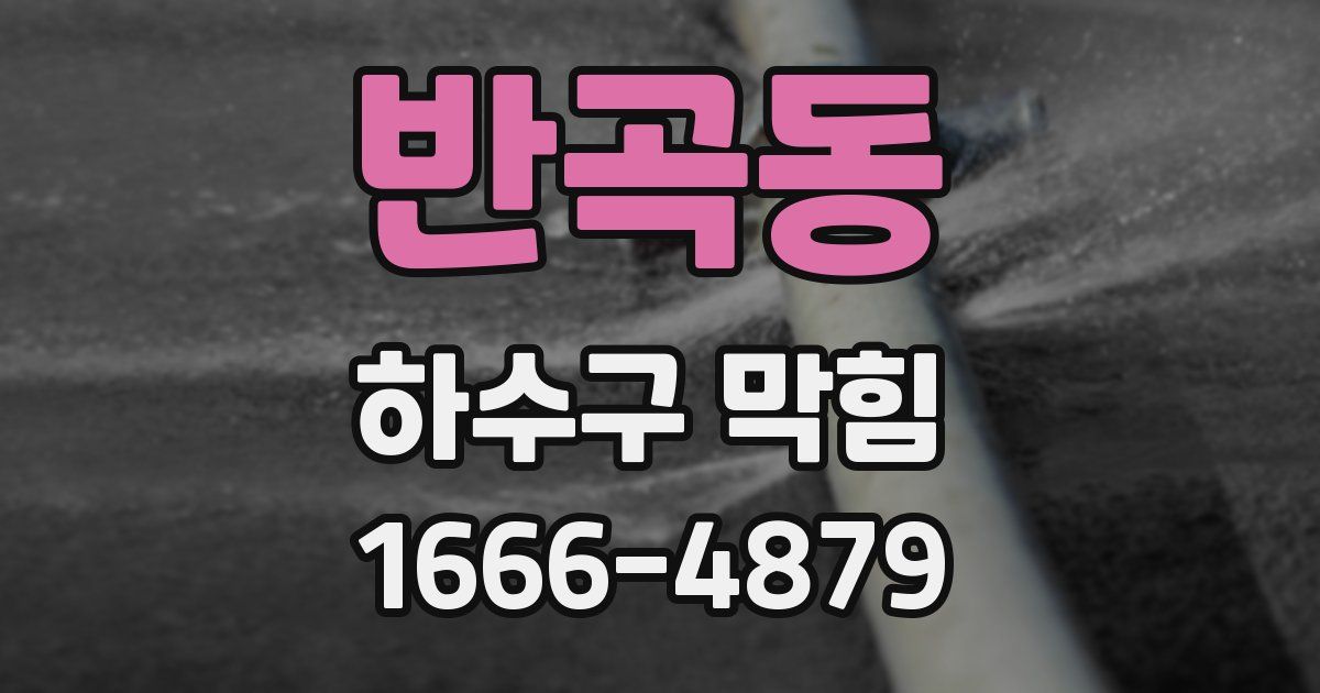 반곡동 하수구 막힘