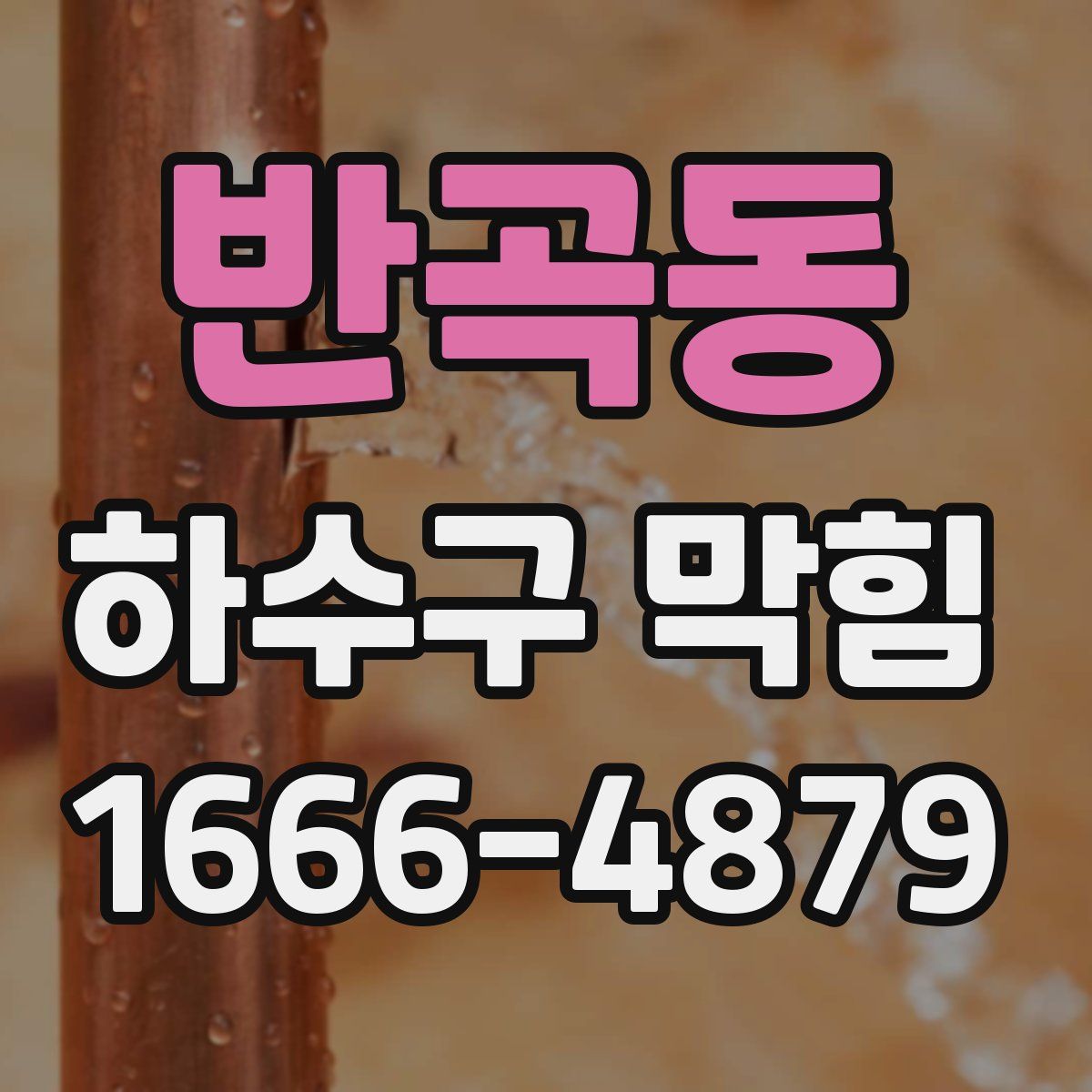 반곡동 하수구 막힘
