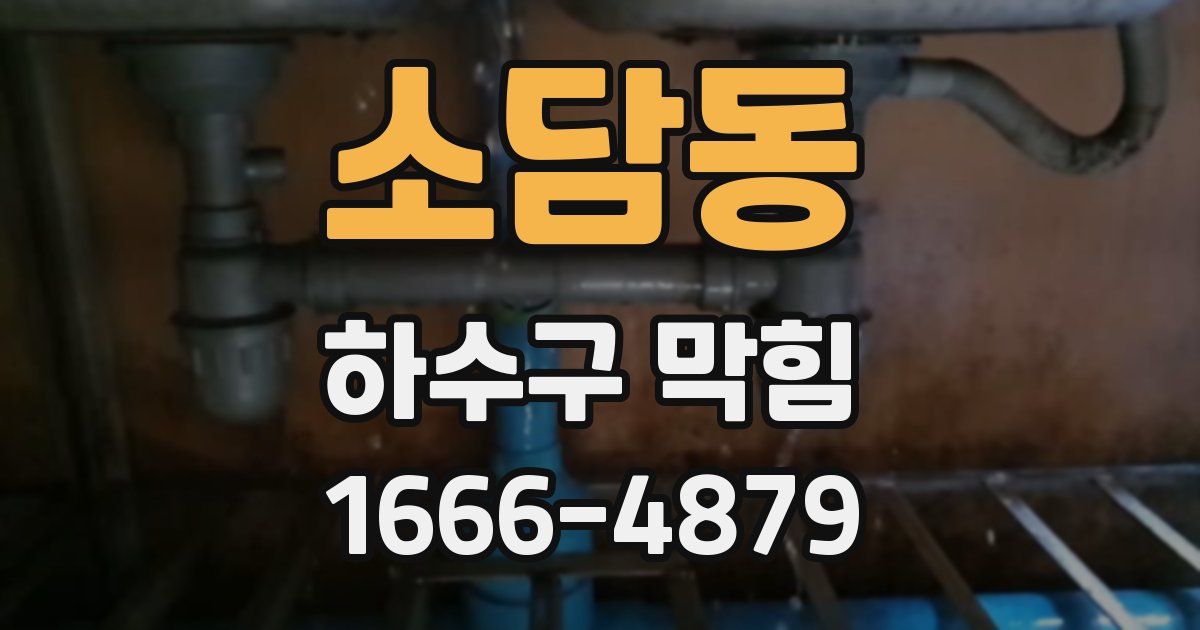소담동 하수구 막힘