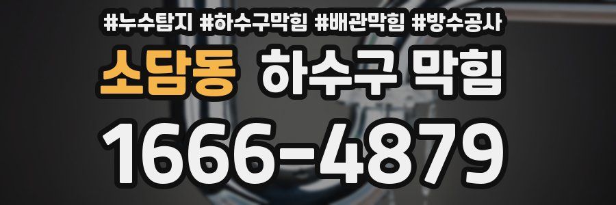 소담동 하수구 막힘