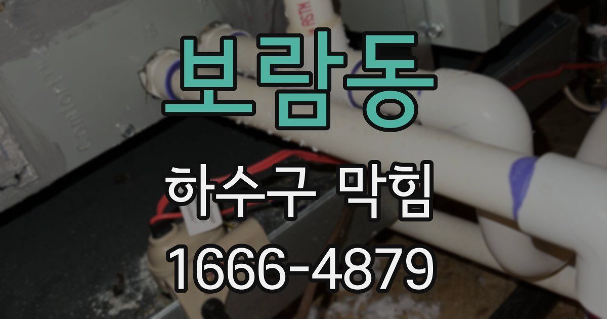 보람동 하수구 막힘
