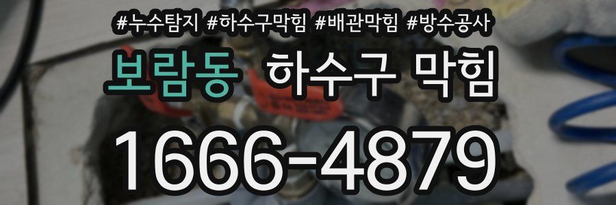 보람동 하수구 막힘