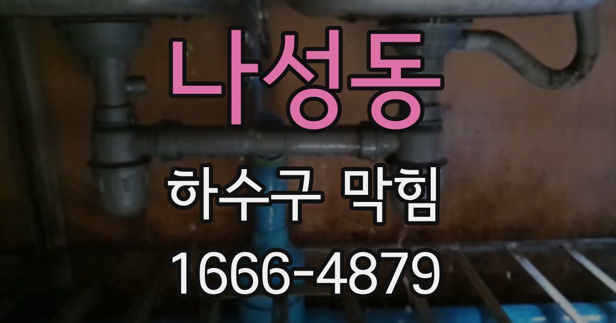 나성동 하수구 막힘