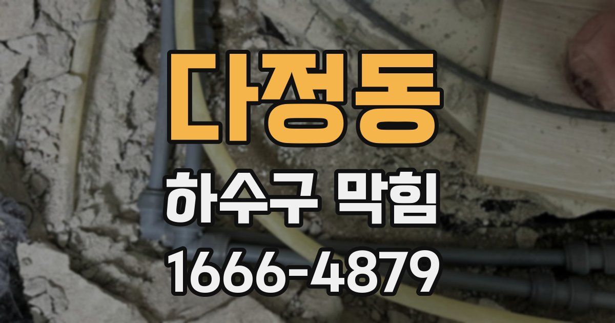 다정동 하수구 막힘