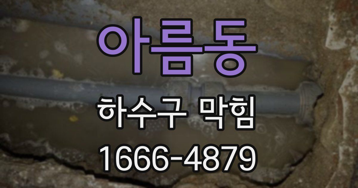 아름동 하수구 막힘