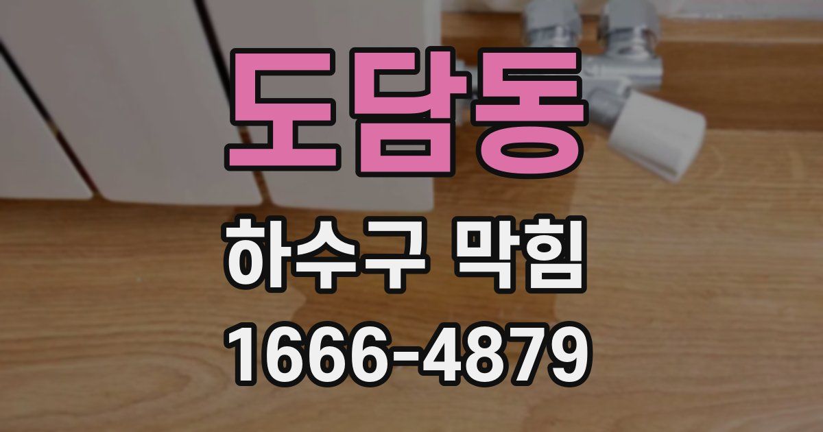 도담동 하수구 막힘