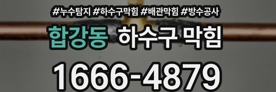 합강동 하수구 막힘
