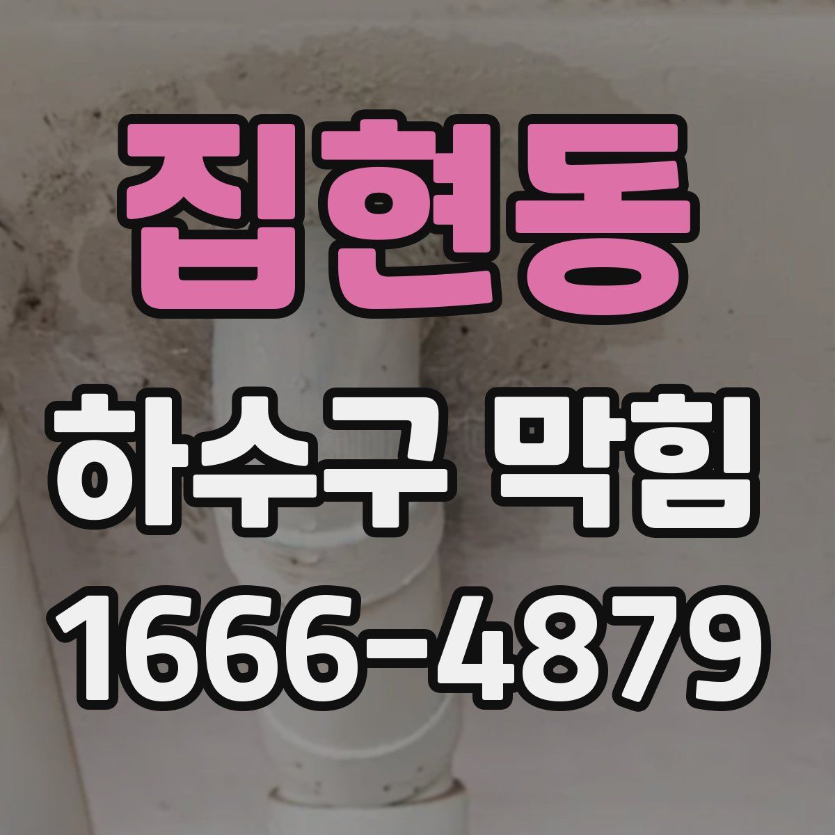 집현동 하수구 막힘