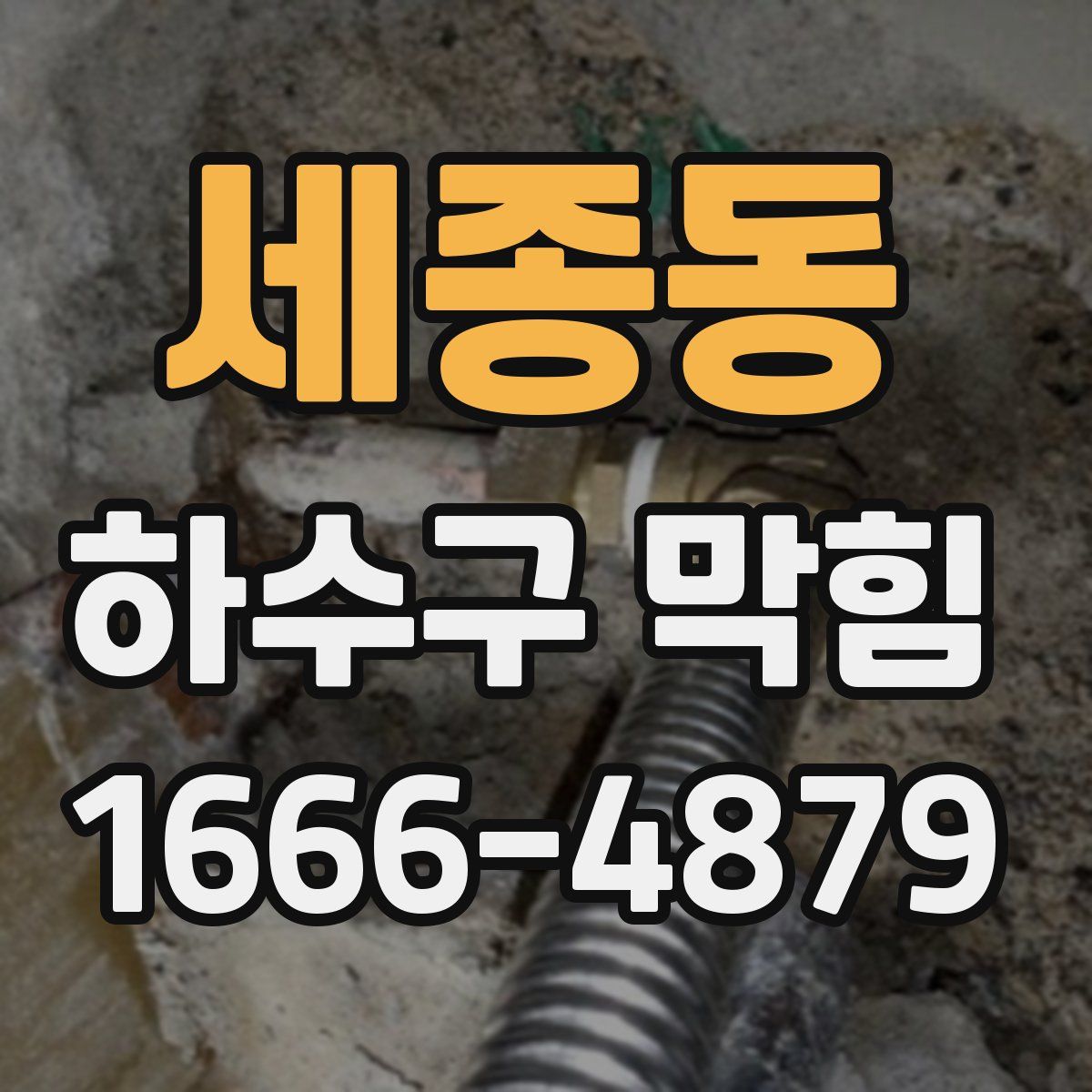 세종동 하수구 막힘