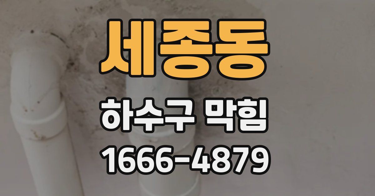 세종동 하수구 막힘