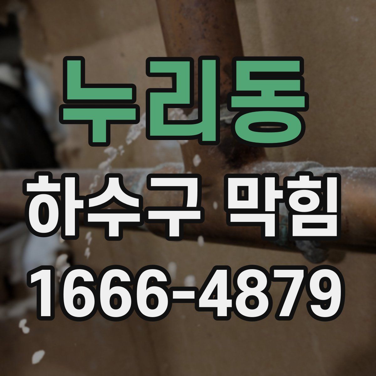 누리동 하수구 막힘